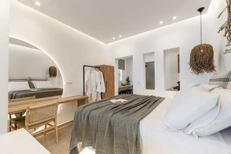 cactus suites