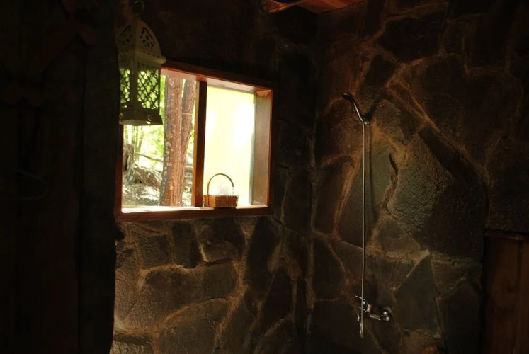 Casa Alto Palguin Pucón