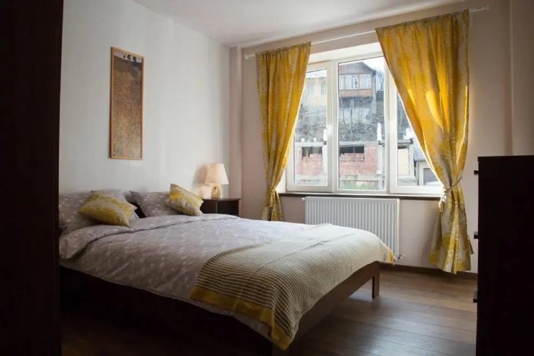 Prahova Valley Apartment