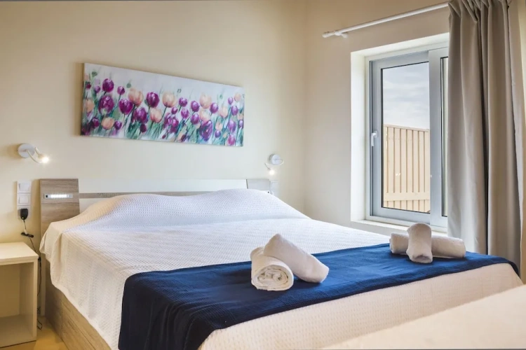 1 Bedroom Standard Villa