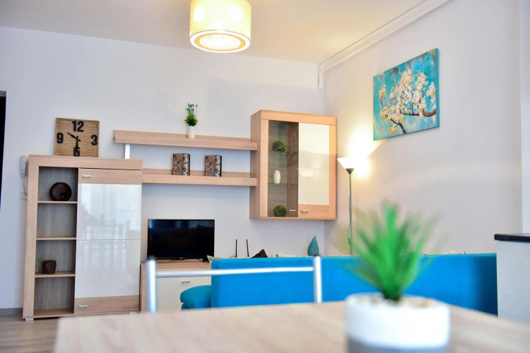 Apartament Central Silva