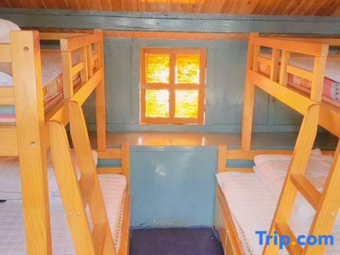 Bed in Dorm (male dorm)