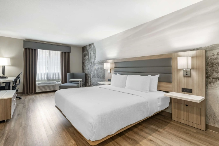 Standard Double room