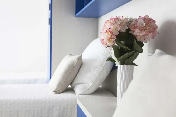 Alessia's Flat - Veneziano
