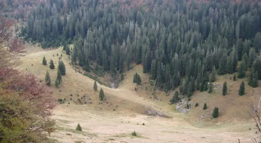 Chalet Lucija