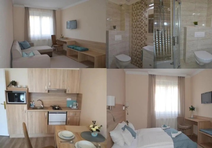 Deluxe Apartment