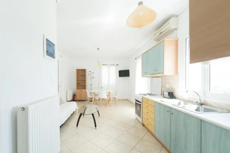 1 Bedroom Apartment with balcony and with view