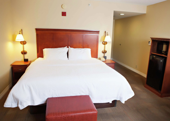 Hampton Inn Martin