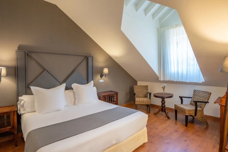 Standard Double Penthouse room