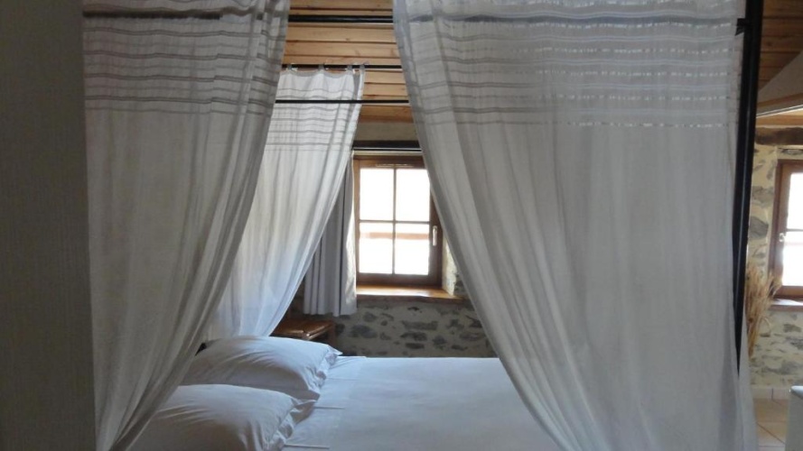 Standard Double room with garden view