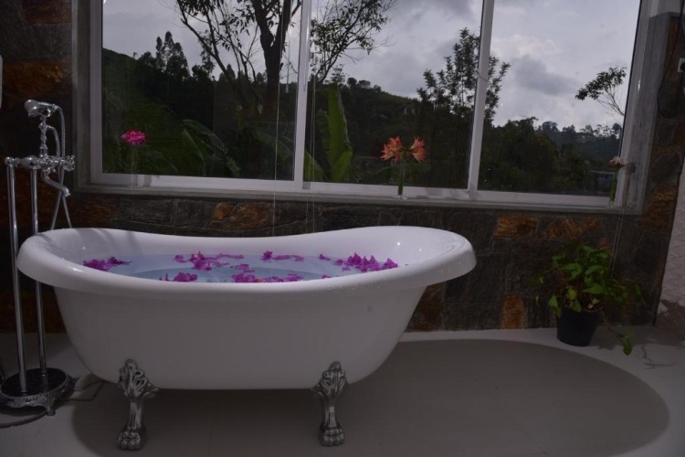 Standard Double room with balcony and with view
