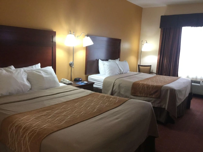 Standard Quadruple room