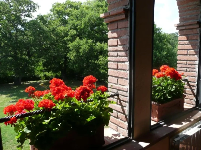 Apartment with garden view
