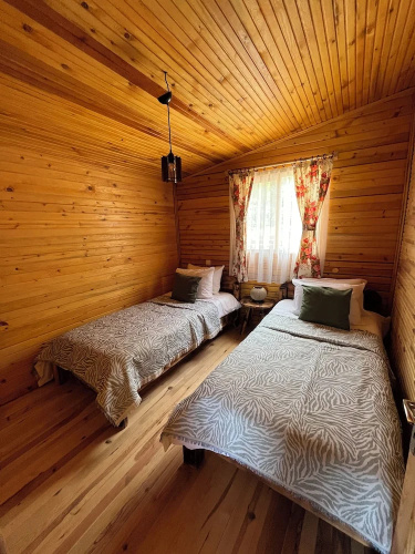 Afera Koy Evi