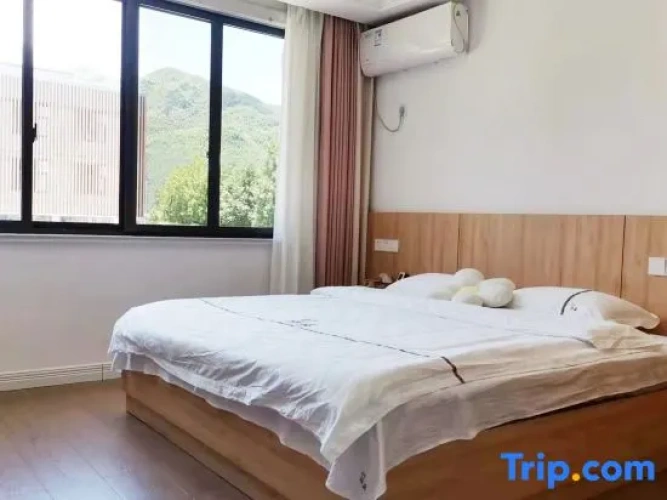 Standard Double room with mountain view
