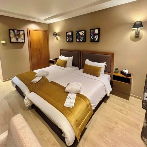 Deluxe Twin room with city view
