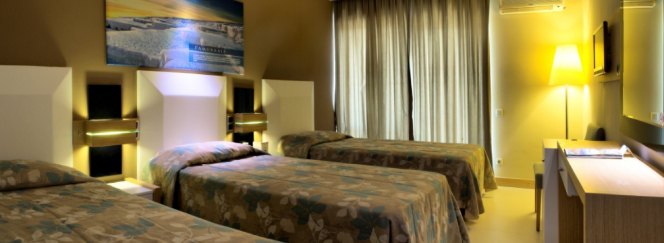 Standard Double room with balcony and with sea view