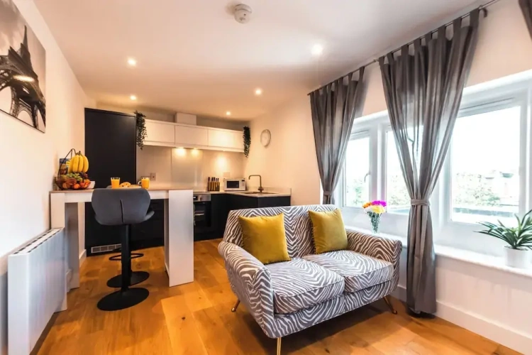 Deluxe Apartment
