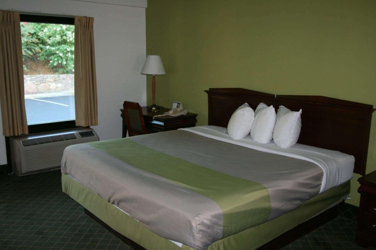 1 Bedroom Double Suite