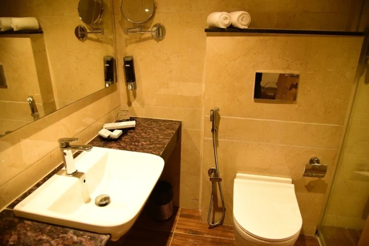 Luxury Suite