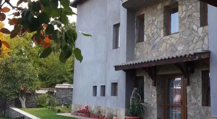 Villa Pontica