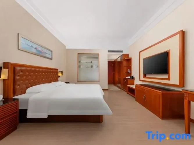 Deluxe Double room with city view