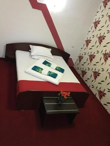 Pension La Viorel