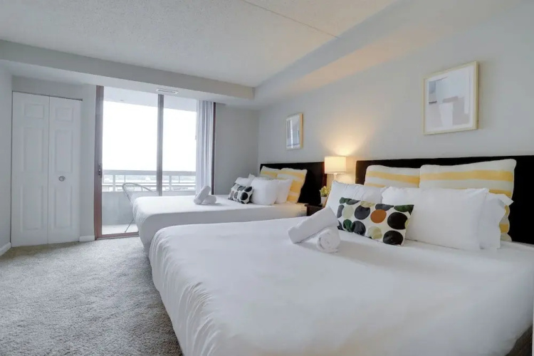 Spacious Apartment at Pentagon City
