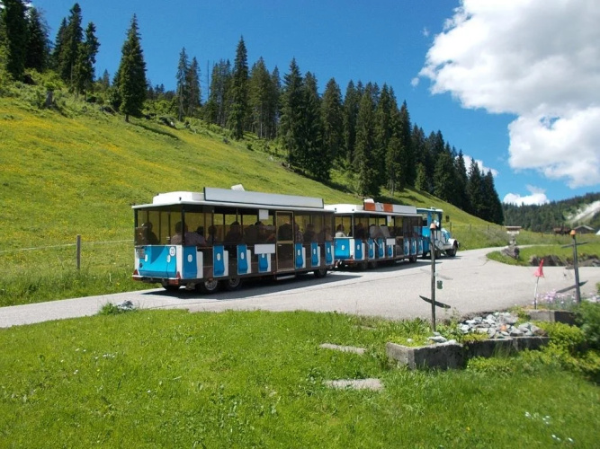 Berghof Felder