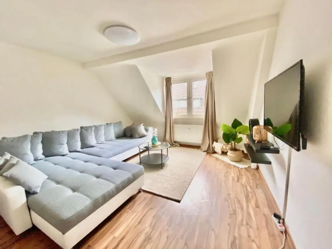 Deluxe Apartment