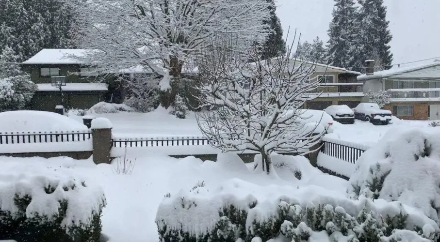 Spacious Burnaby Guest Home