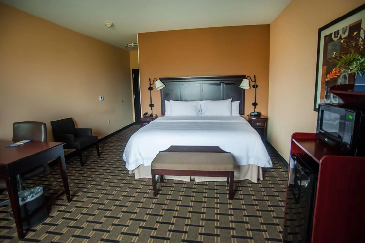 Hampton Inn & Suites Palestine