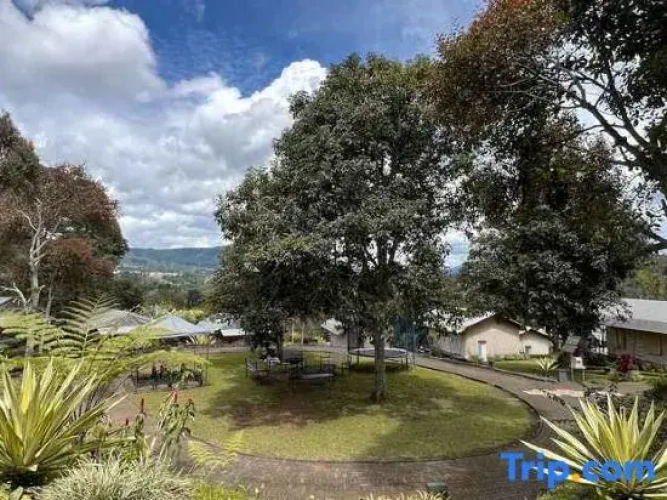 Standard Double room with balcony and with view