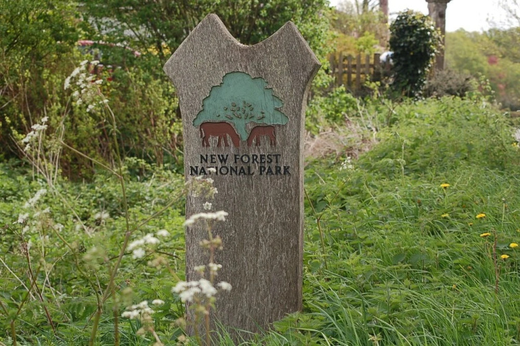 The Dairy