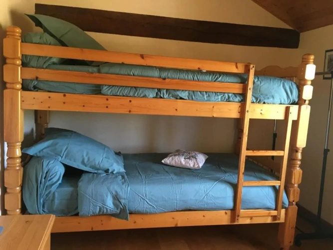 Standard Twin room with garden view