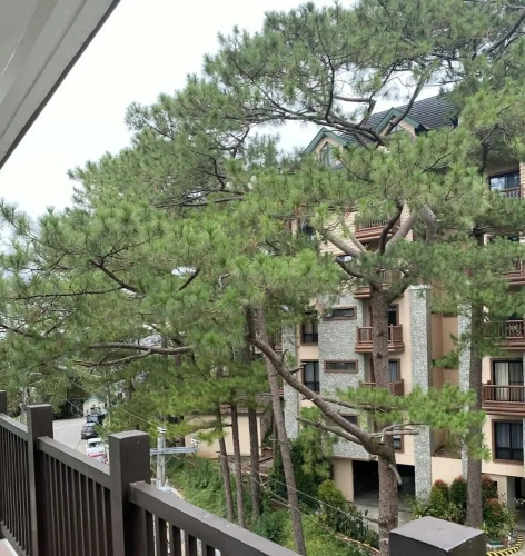 Standard room with balcony and with garden view