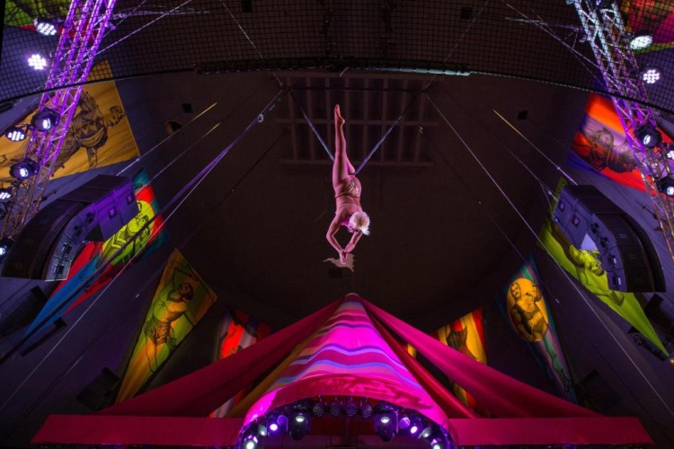 Circus Circus Reno Hotel & Casino photo 19