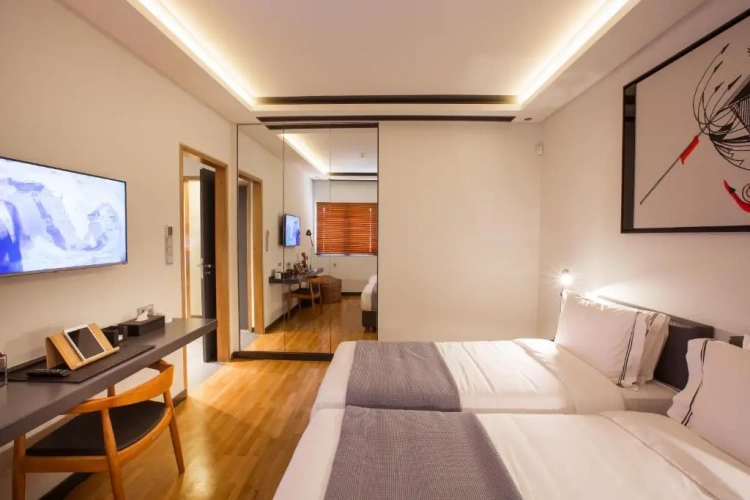 Deluxe Apartment