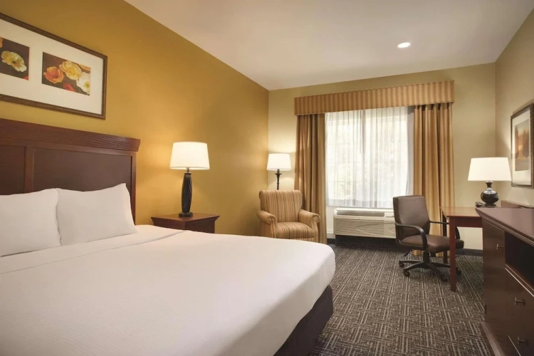 1 Bedroom Suite