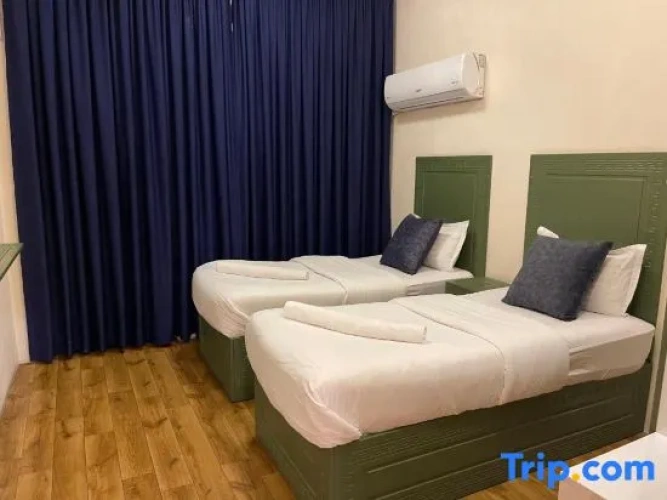 Deluxe Apartment