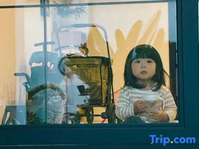 Dali Bagu Homestay (Xizhou)