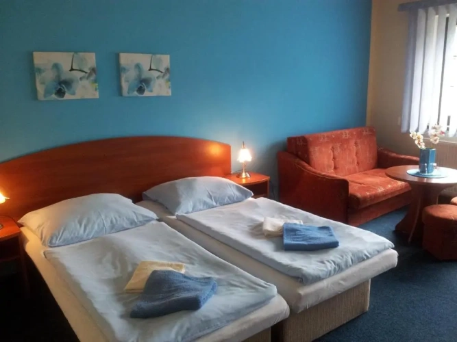 Standard Double room with balcony and with view
