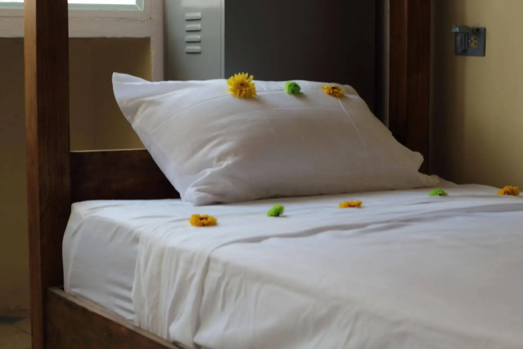 Hostal Catedral - Adults Only