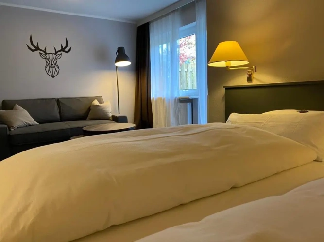 Superior Double room with view