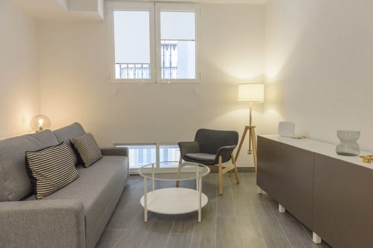 Standard Apartment