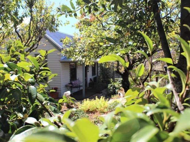 1 Bedroom Double Cottage