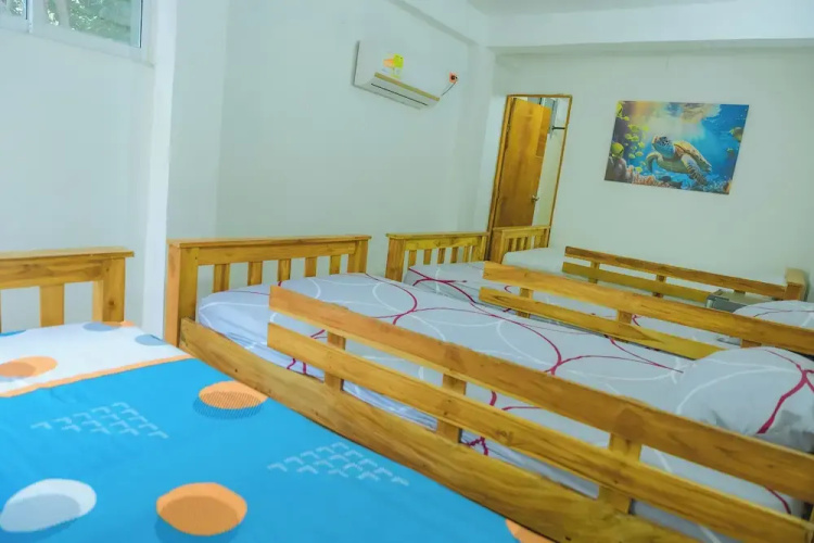 Perla Negra House Hostel