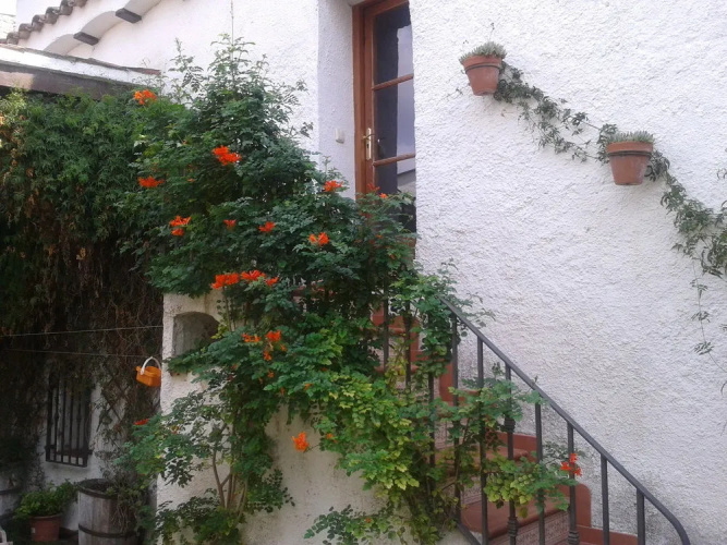Cal Catasús