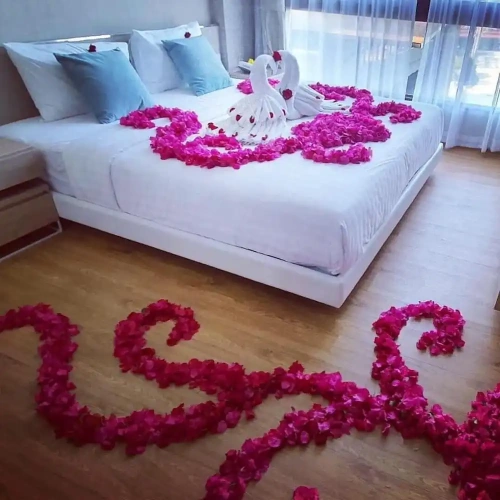 1 Bedroom Suite