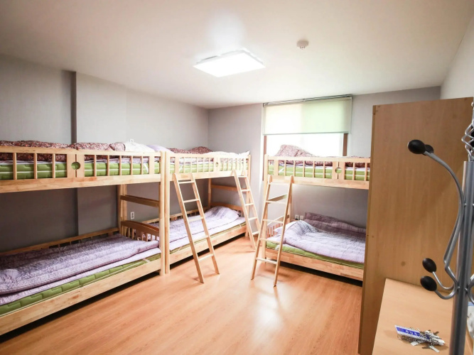 Miso Guesthouse - Hostel
